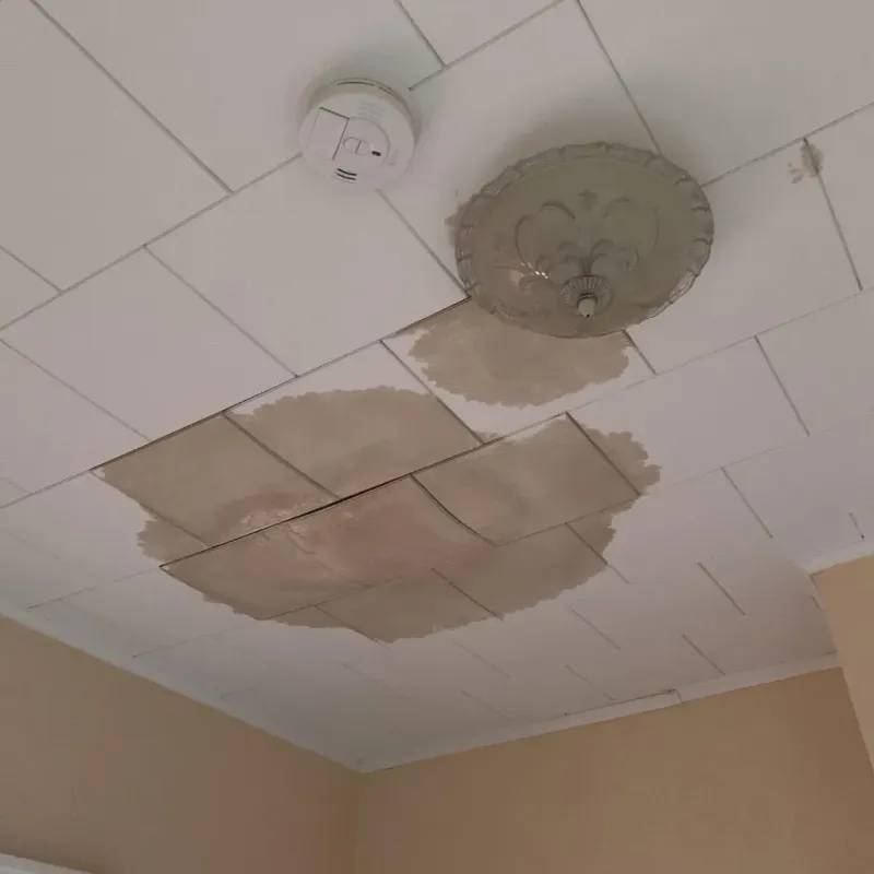 Ceiling Water Damage Repair in Oswego, NY